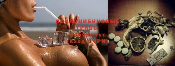 дмт Ельня