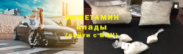 дмт Ельня
