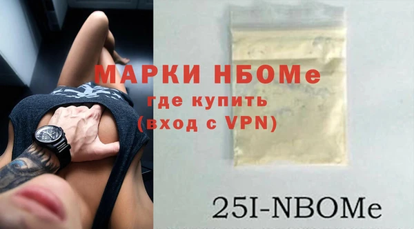 дмт Ельня