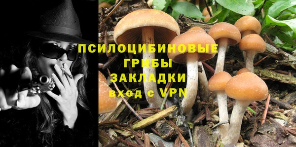 ALPHA PVP Елабуга