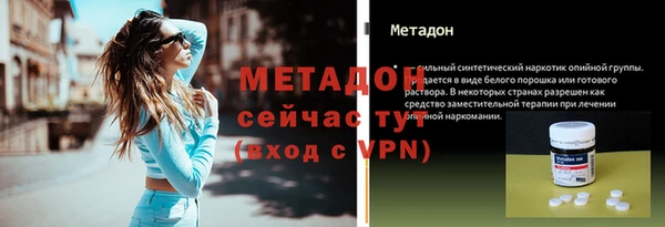 дмт Ельня