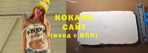 дмт Ельня