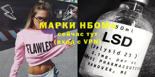 дмт Ельня