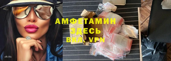 дмт Ельня