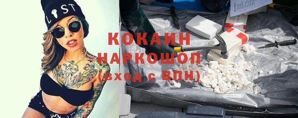дмт Ельня